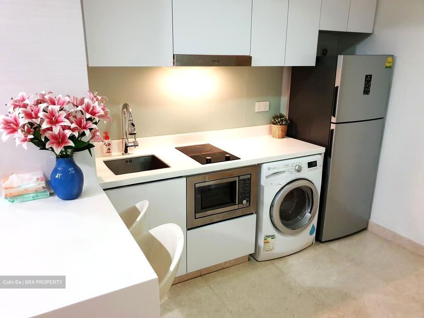 Eight Riversuites (D12), Condominium #639500461